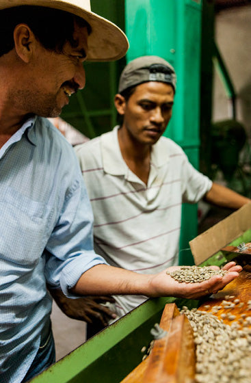 Rūšinės kavos pupelės: Nicaragua Los Pinos